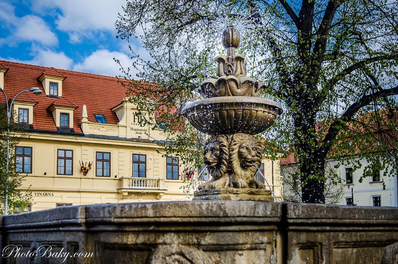 Hejtmansky Dvur Hotel Slaný Eksteriør billede